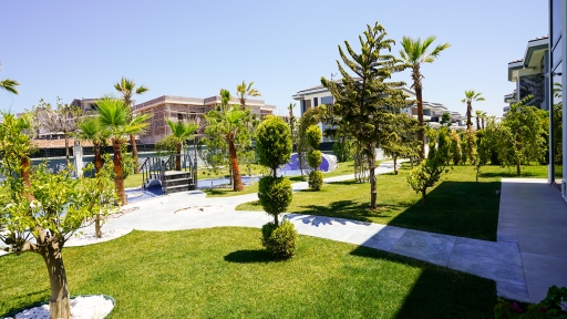 NRS01350.jpg