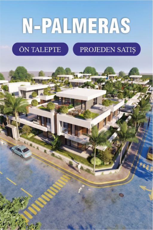 N-PALMERAS